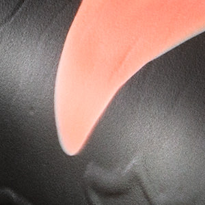 Splotch