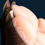 Gideon's Paw Signature
