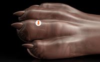 Gideon's Paw - Regular Single Flop - Image 2