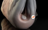 Sarah - Roomy Flop - Image 2
