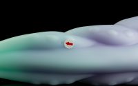 Hydra - Extra Large Flop - Image 2