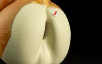 Gideon's Butt - Roomy Flop - Image 2