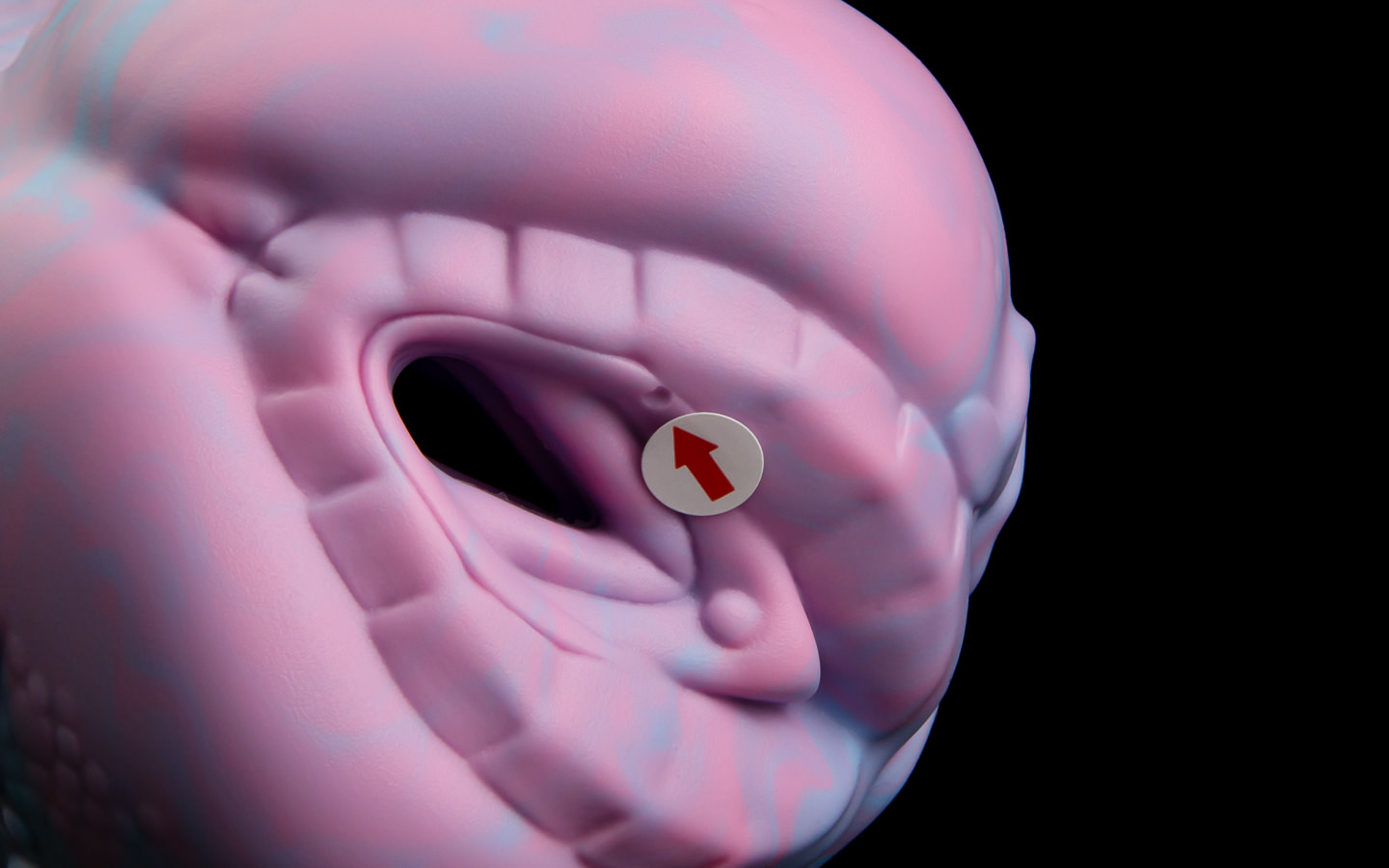 Sapphire - Snug Flop - Image 2