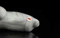 Dagger - Medium Flop - Image 2