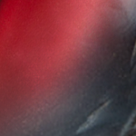 Ranger's Signature