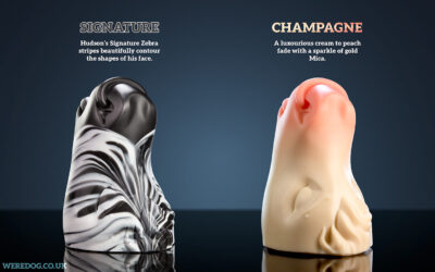 Hudson's Muzzle - Image 4