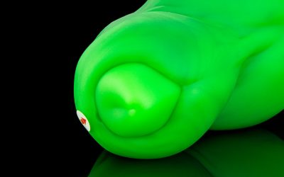 Alternative view of The Canine - Large Flop