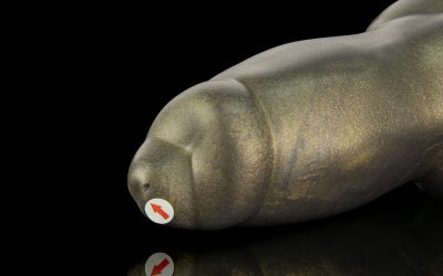 Alternative view of Dagger - Extra Large Flop