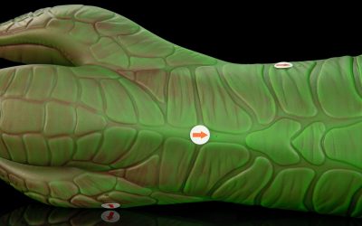 Alternative view of Creature - One Size Flop