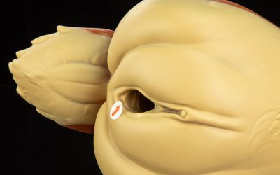 Alternative view of Mae - One Size Flop