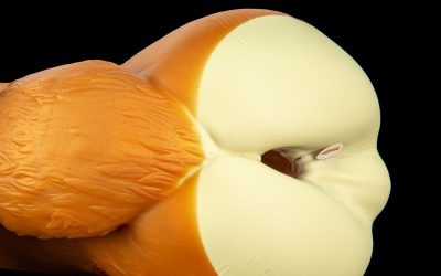 Alternative view of Gideon's Butt - Snug Flop