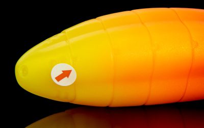 Alternative view of Scout - Medium Flop