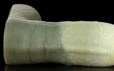 Alternative view of Nile - Large