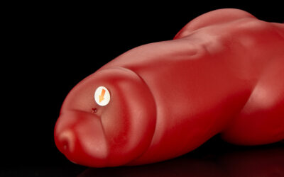 Alternative view of Dagger - Extra Large Flop