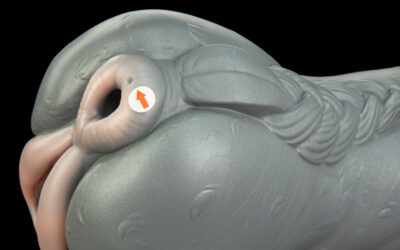 Alternative view of Sarah - One Size Flop