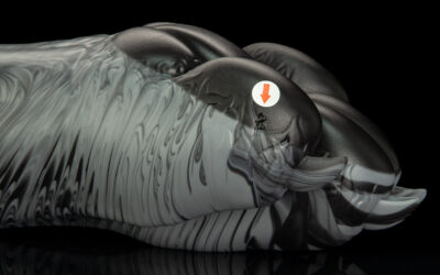 Alternative view of Gideon's Paw - Regular Single Flop