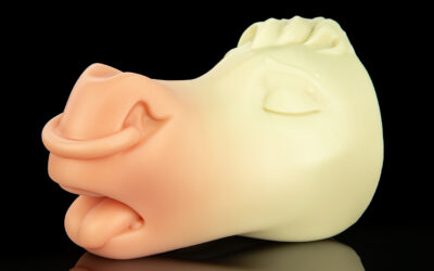 Hudson's Muzzle - One Size Flop