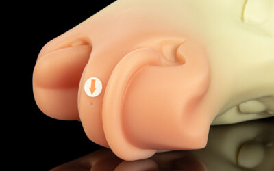 Alternative view of Hudson's Muzzle - One Size Flop