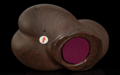 Alternative view of The Canine - Large Flop