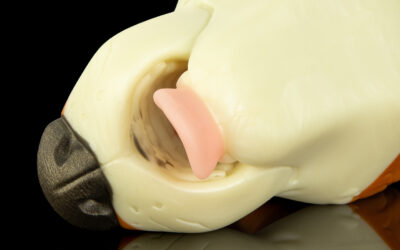 Alternative view of Gideon's Muzzle - One Size