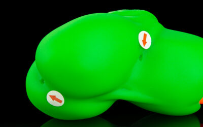 Alternative view of The Canine - Medium Flop