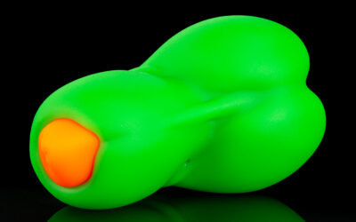 The Canine - Medium Flop