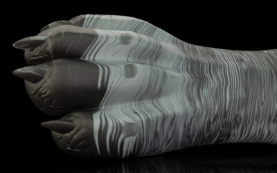 Alternative view of Gideon's Paw - Regular Single