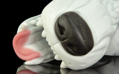 Alternative view of Ranger's Muzzle - One Size