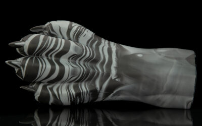 Alternative view of Gideon's Paw - Regular Single