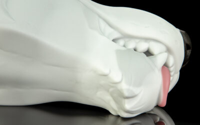 Alternative view of Ranger's Muzzle - One Size