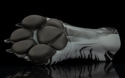 Gideon's Paw - Regular Single