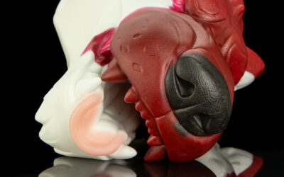 Alternative view of Ranger's Muzzle - One Size