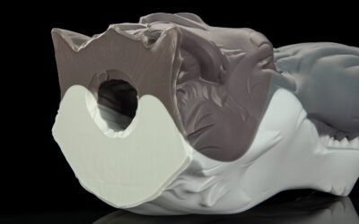 Alternative view of Ranger's Muzzle - One Size