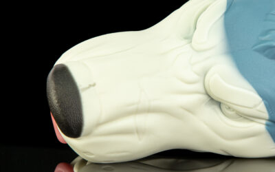 Ranger's Muzzle - One Size Flop - Image 2