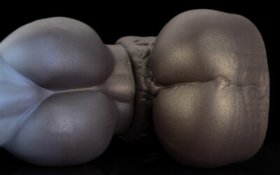 Alternative view of Ranger - Extra Large
