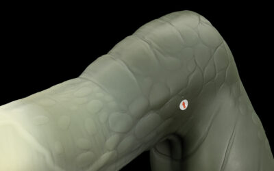 Alternative view of Nile - XXL Flop