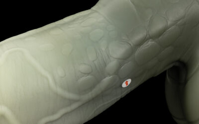 Alternative view of Nile - Extra Large Flop