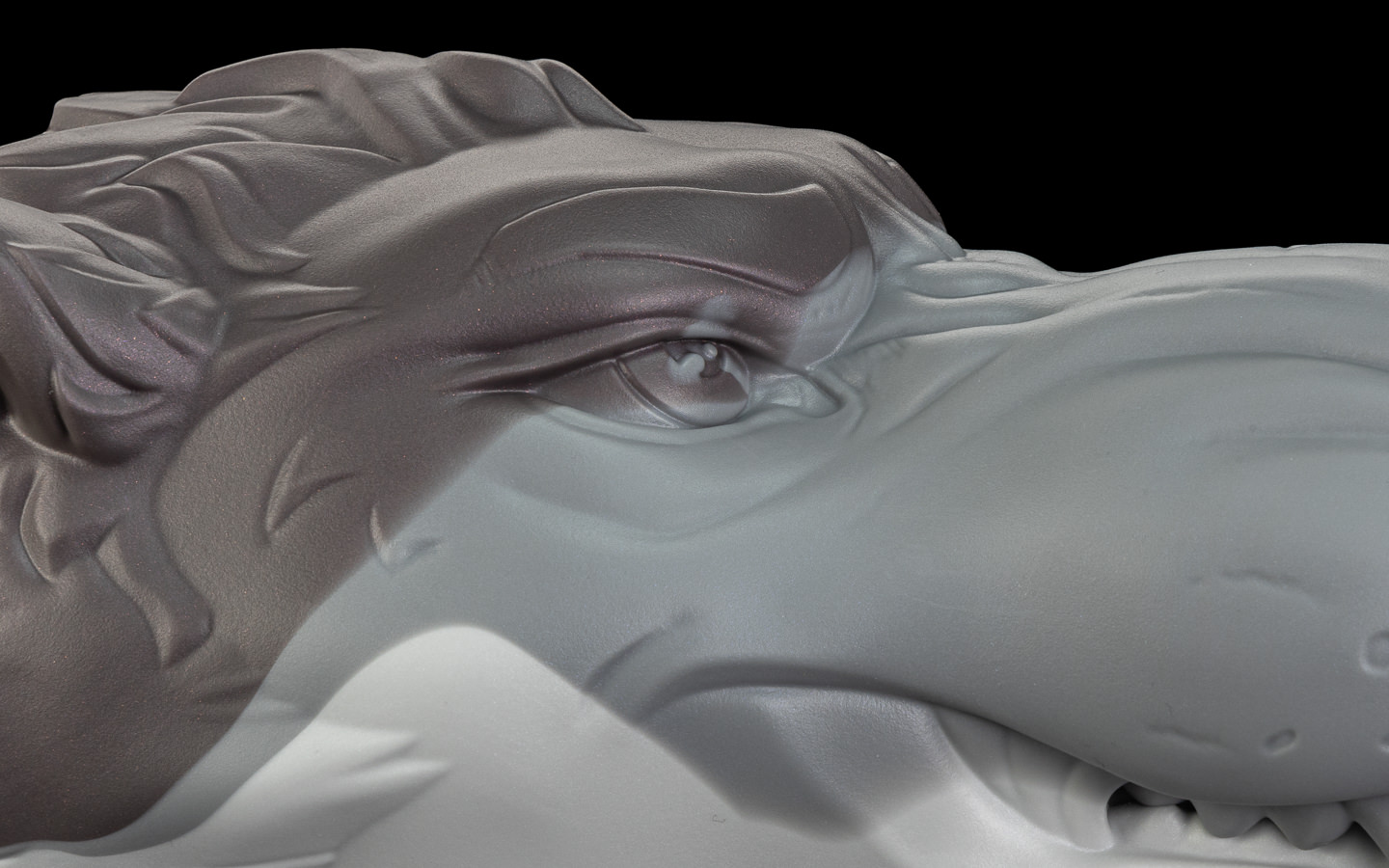 Ranger's Muzzle photo 2