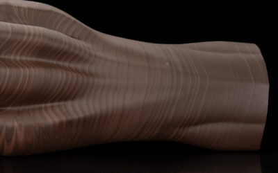 Alternative view of Gideon's Paw - Regular Single