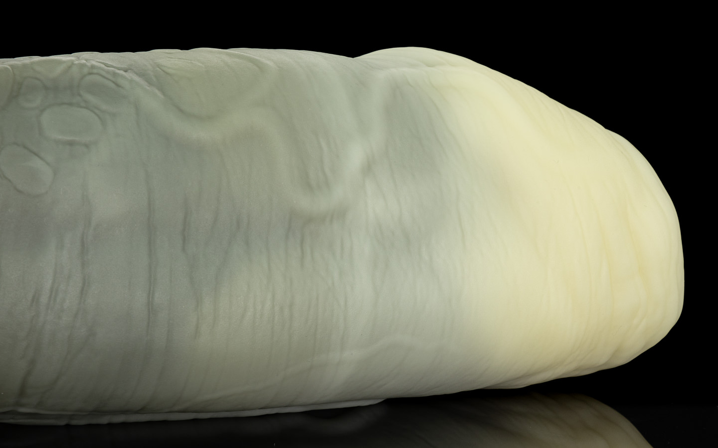 Nile's Fuckable Cock - One Size - Image 2