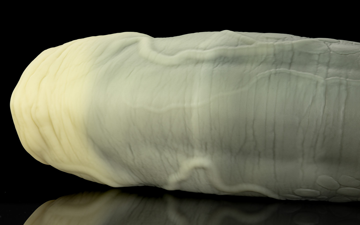Nile's Fuckable Cock - One Size - Image 2