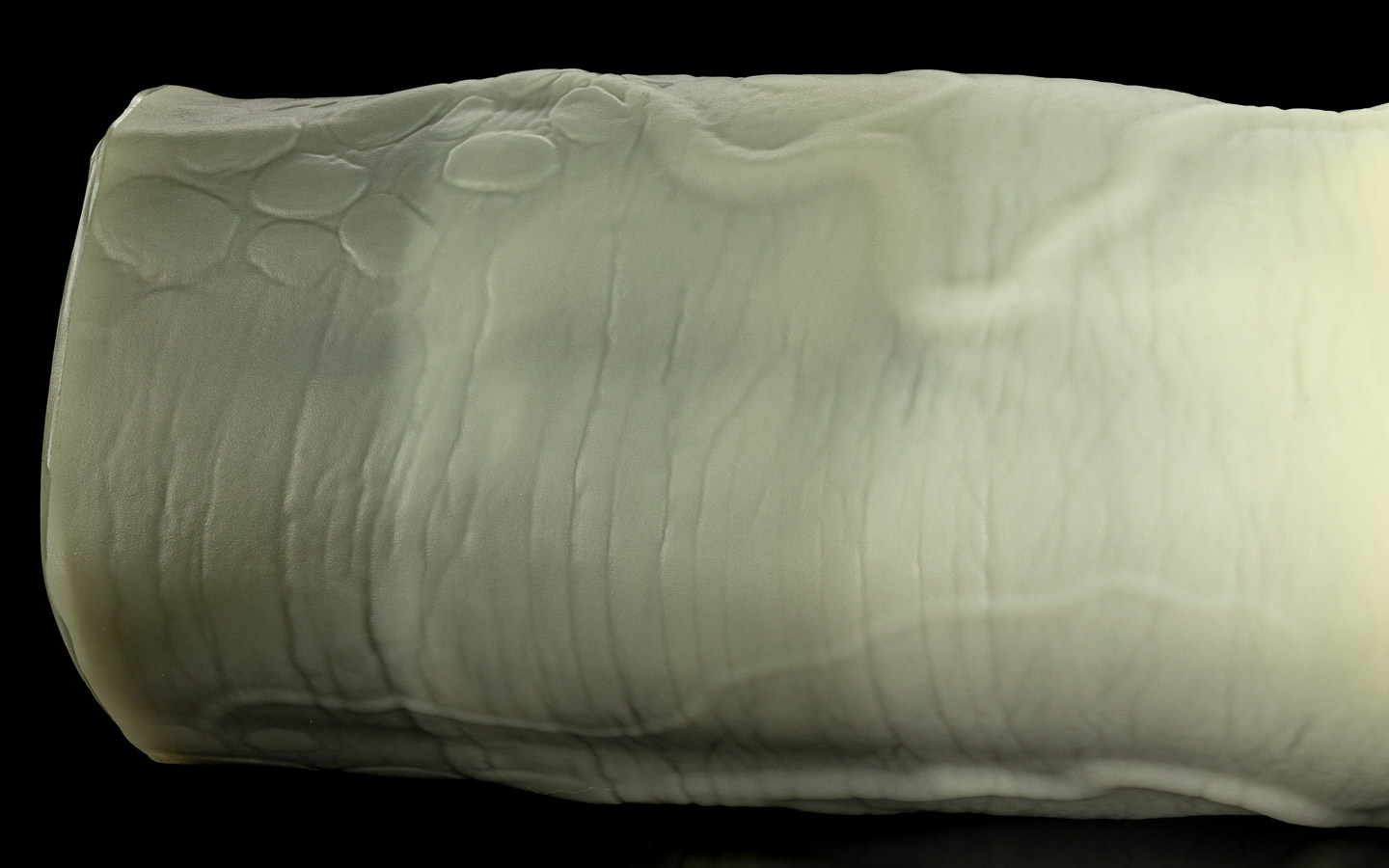 Nile's Fuckable Cock - One Size - Image 2