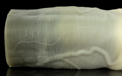 Alternative view of Nile's Fuckable Cock - One Size