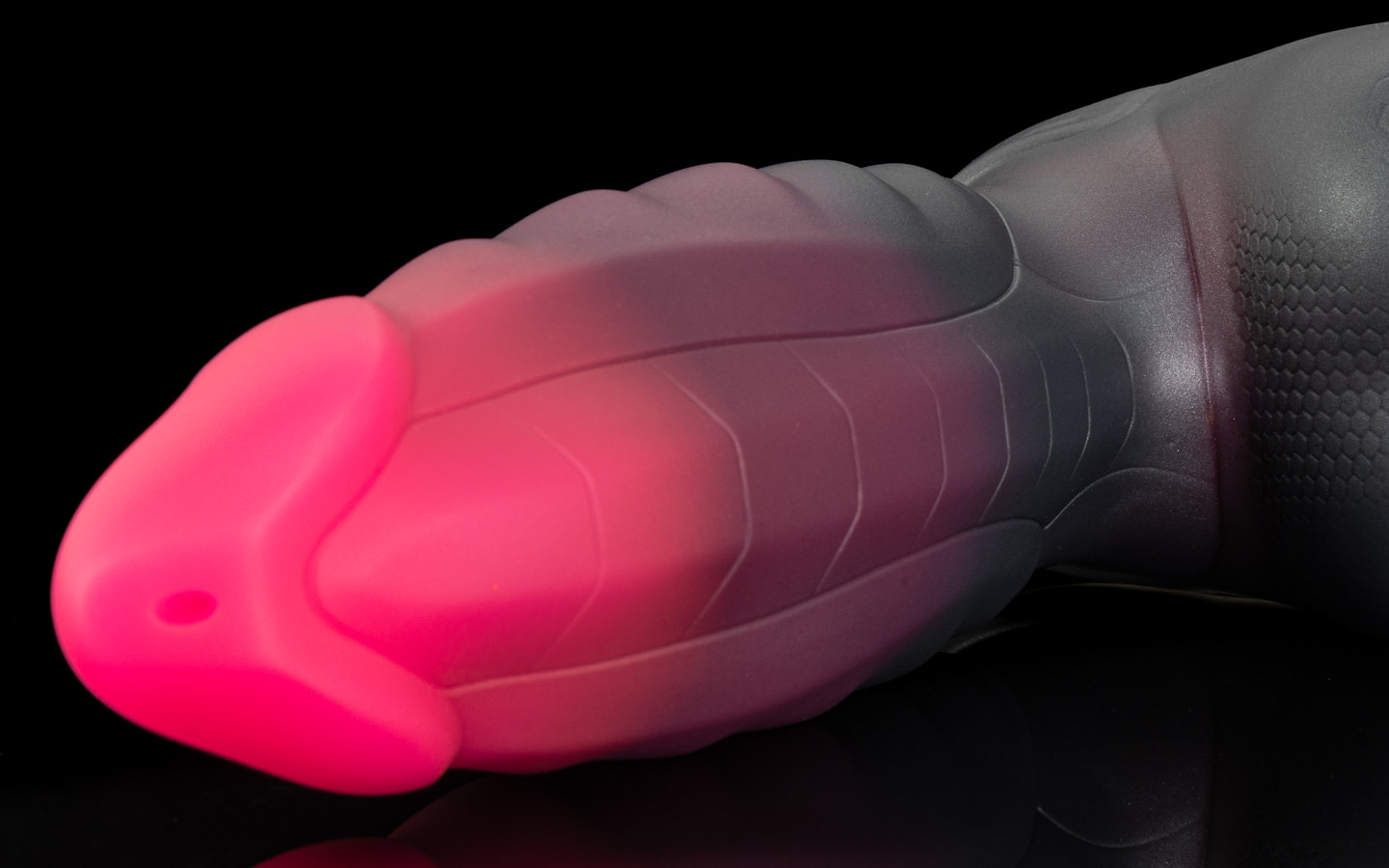 Vertex photo 2