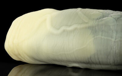 Alternative view of Nile's Fuckable Cock - One Size
