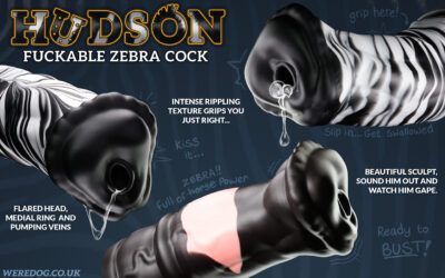 Hudson - Image 3