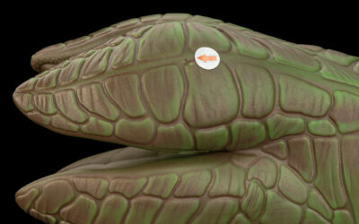 Alternative view of Creature - One Size Flop