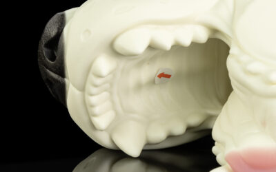 Ranger's Muzzle - One Size Flop - Image 2