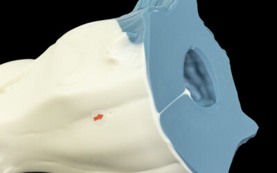 Ranger's Muzzle - One Size Flop - Image 2