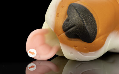 Alternative view of Gideon's Muzzle - One Size Flop